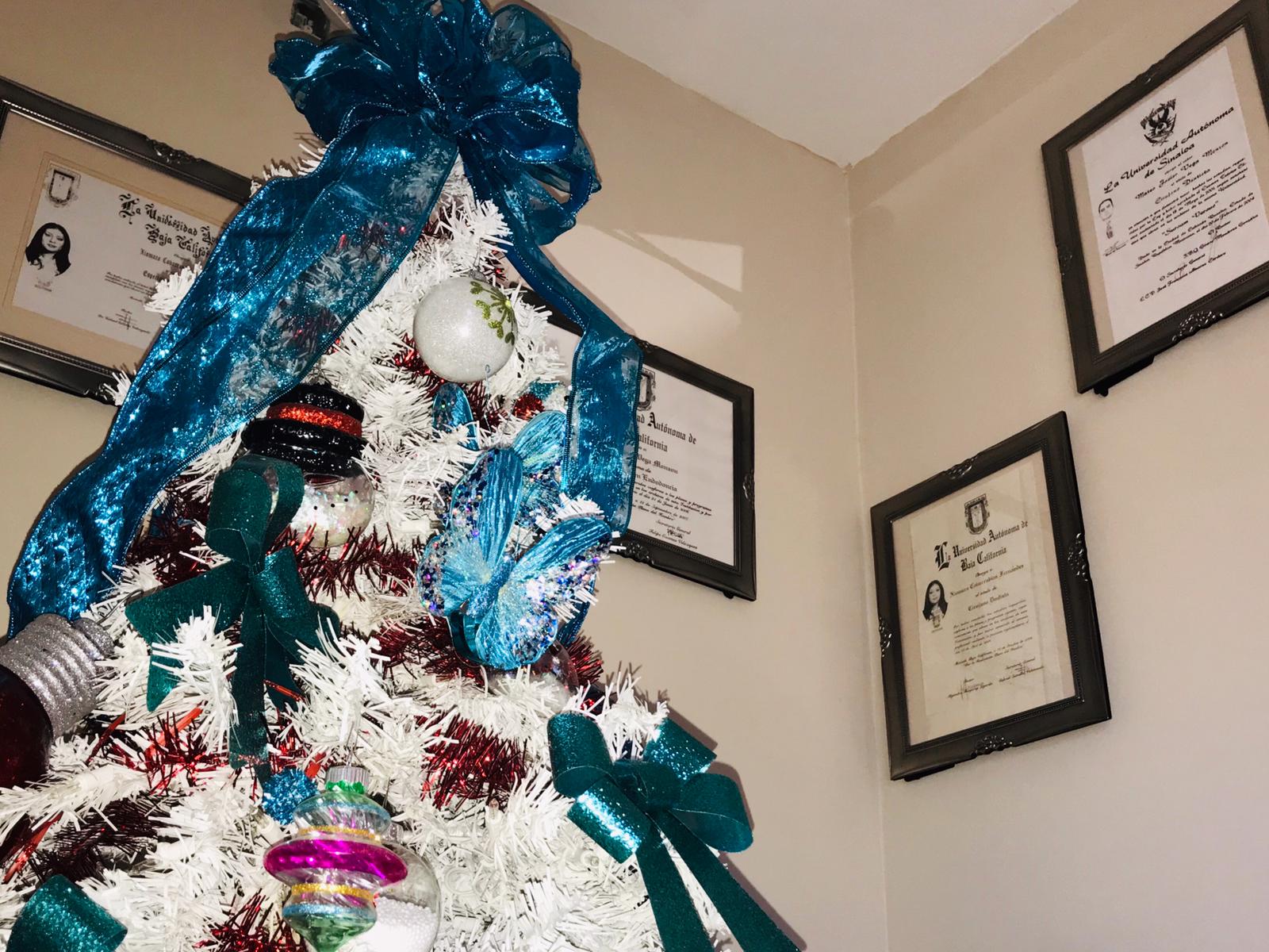 Vega's Dental Solutions clinic view 7